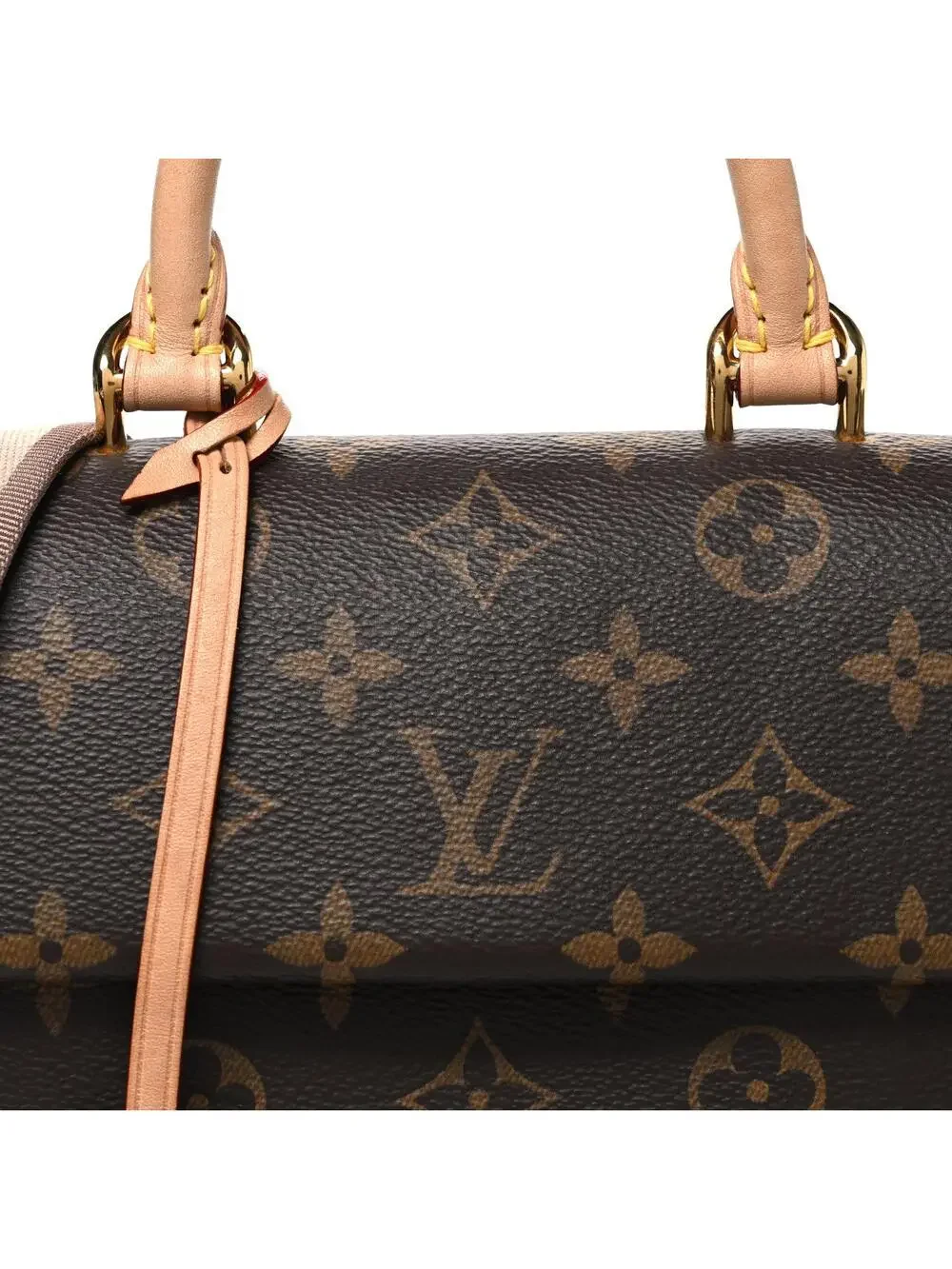 Louis Vuitton Mini Cluny #335176L19B